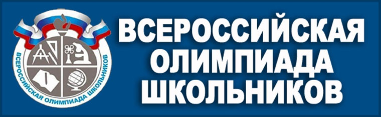 региональный этап всероссийской олимпиады школьников.